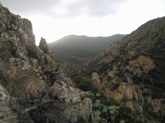 Monte Arcosu