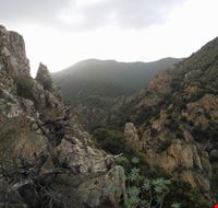 Monte Arcosu Monte Arcosu