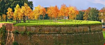 lucca walls