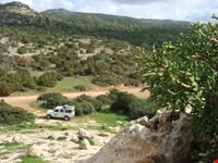paphos erimites akamas