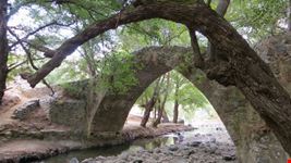 paphos tzelefos venetian bridge