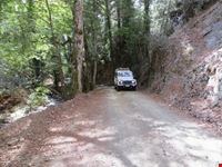 paphos paphos forest