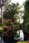 Oasi di Ninfa