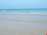 Mare