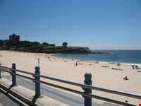 sydney la spiaggia di coogee