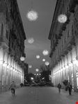 torina via garibaldi