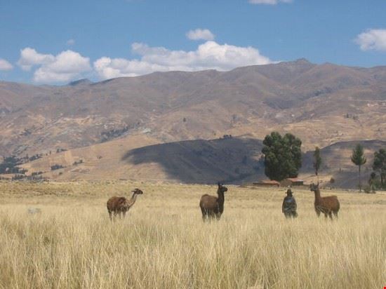  Huaraz  