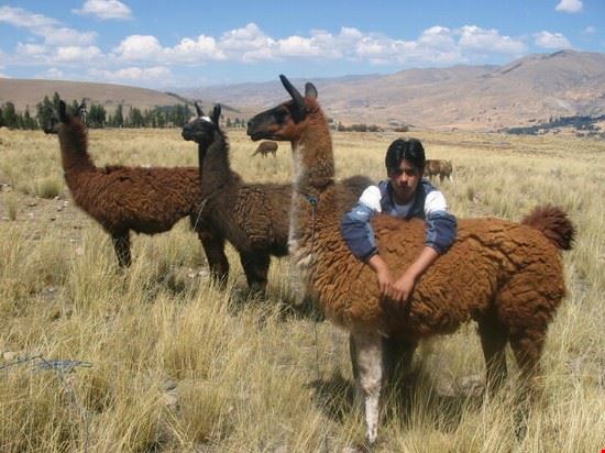  Huaraz  