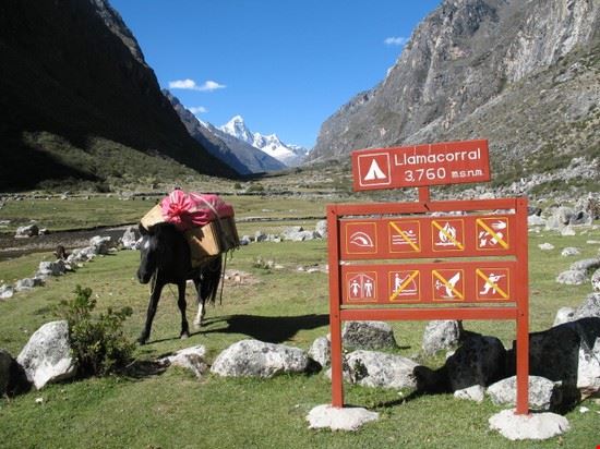  Huaraz  