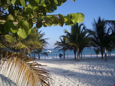  Akumal ray roper - ©iStockphoto.com ray roper
