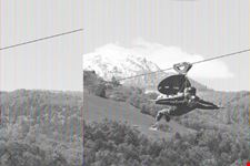 volare come un'aquila tra neve e verde