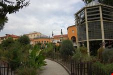 padua botanical garden