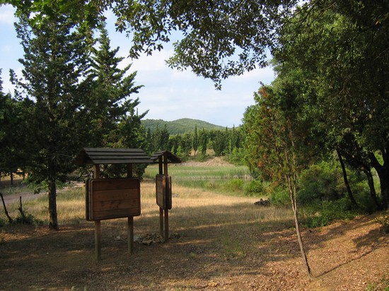 Riserva Naturale di Monteverdi Marittimo