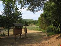 Riserva Naturale di Monteverdi Marittimo