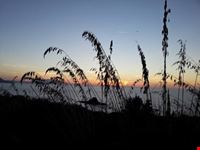 Tramonti.