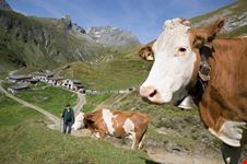 Parco Nazionale Alti Tauri