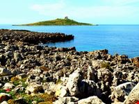 Isola delle Femmine
