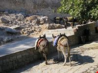 Lindos
