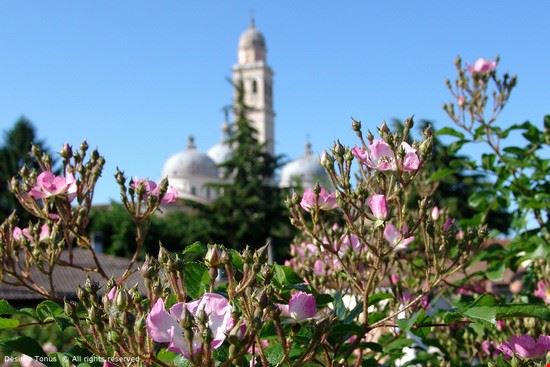  Padua  