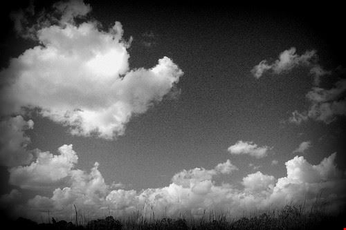  Noto mtmsphoto - Attribution-NonCommercial-ShareAlike (http://creativecommons.org/licenses/by-nc-sa/2.0/) mtmsphoto