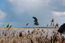 noto riserva naturale di vendicari