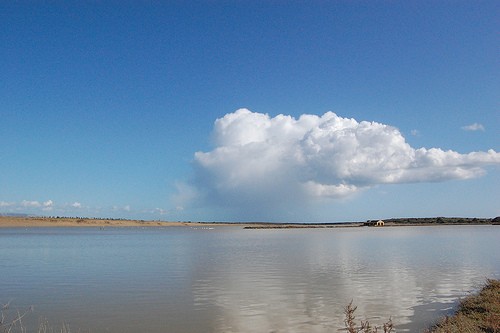 noto riserva naturale di vendicari