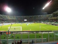 palermo stadio renzo barbera