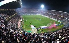 palermo stadio renzo barbera