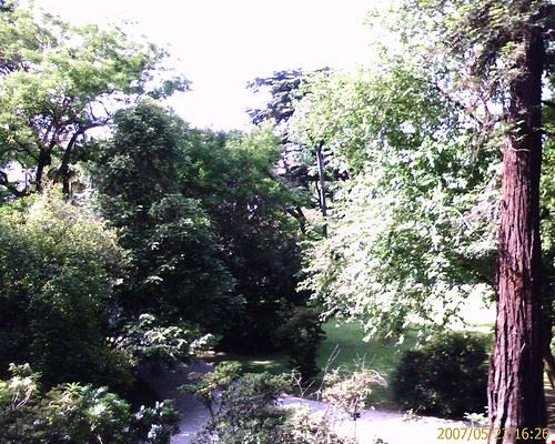 Botanical Gardens Lucca HSmade - Attribution-NonCommercial-ShareAlike (http://creativecommons.org/licenses/by-nc-sa/2.0/) HSmade
