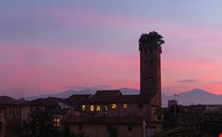 lucca la torre guinigi