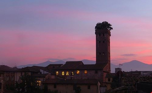 Guinigi Tower Lucca mirod - Attribution-NonCommercial-ShareAlike (http://creativecommons.org/licenses/by-nc-sa/2.0/) mirod
