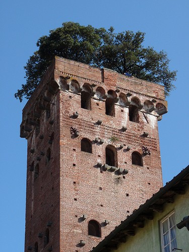 lucca la torre guinigi