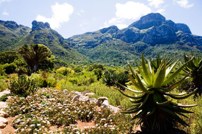 Giardini Botanici Kirstenbosch