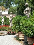 lucca palazzo pfanner