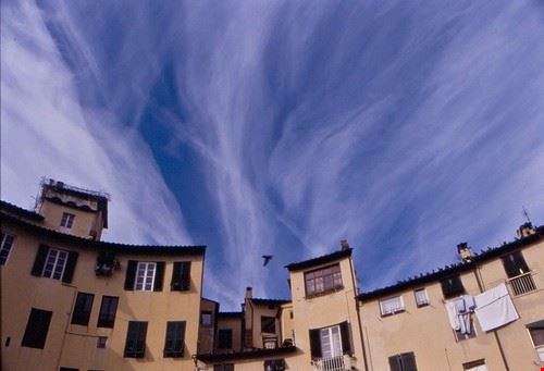 Anfiteatro Square Lucca Franco_pt - Attribution-NonCommercial-NoDerivs (http://creativecommons.org/licenses/by-nc-nd/2.0/) Franco_pt