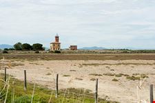 grosseto il parco naturale della maremma