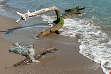 grosseto il parco naturale della maremma