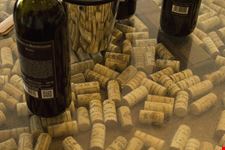 montepulciano nelle cantine