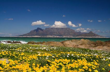 Table Mountain - Sculpies  - Sculpies  - ©Shutterstock