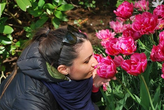 TULIPANI