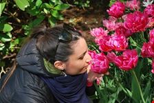 TULIPANI
