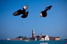 Venezia