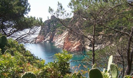  Cala Moresca.
Promontorio di Arbatax, raggiungibile a piedi dal paese.
Bellissima alle prime ore del mattino.  