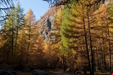 aosta parco nazionale gran paradiso