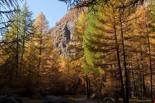 Parco Nazionale Gran Paradiso - ?? Scott ?? - ?? Scott ?? - Attribution-NonCommercial-ShareAlike (http://creativecommons.org/licenses/by-nc-sa/2.0/)