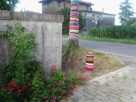gli alberi con il maglione
