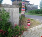 gli alberi con il maglione gli alberi con il maglione