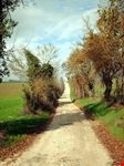 Passeggiate in bicicletta
