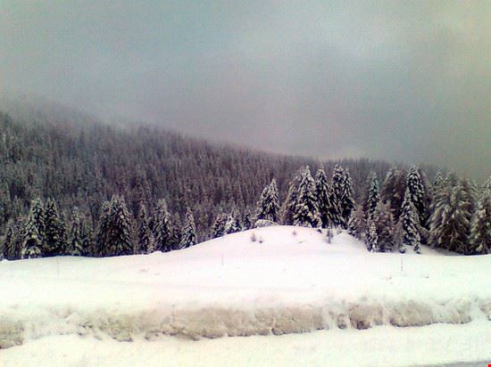  San Martino di Castrozza  