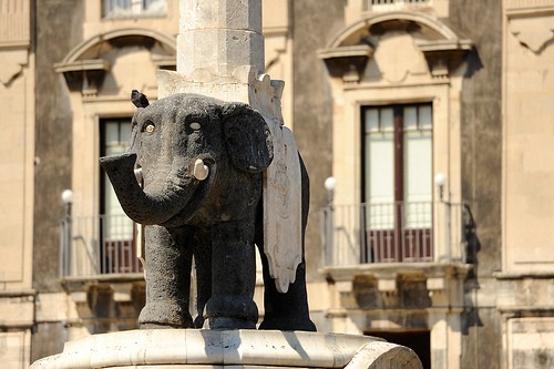 catania fontana dell elefante